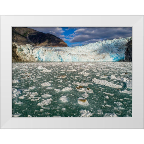 Alaska-Tracy Arm Harbor Seals hauled out on icebergs calved from Dawes Glacier in Endicott Arm White Modern Wood Framed Art Print by Souders, Paul