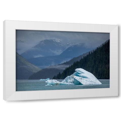 Alaska-Tracy Arm-Fords Terror Wilderness-Glacial iceberg floating in Holkham Bay White Modern Wood Framed Art Print by Souders, Paul