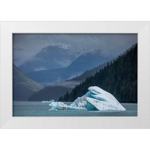Alaska-Tracy Arm-Fords Terror Wilderness-Glacial iceberg floating in Holkham Bay White Modern Wood Framed Art Print by Souders, Paul