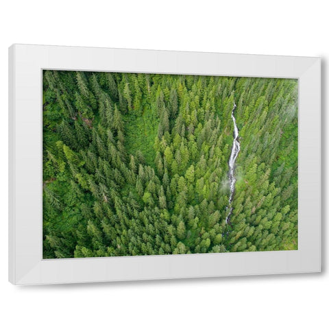 Alaska-Juneau-Taku Harbor State Marine Park-waterfall on mountainside in coastal rainforest White Modern Wood Framed Art Print by Souders, Paul