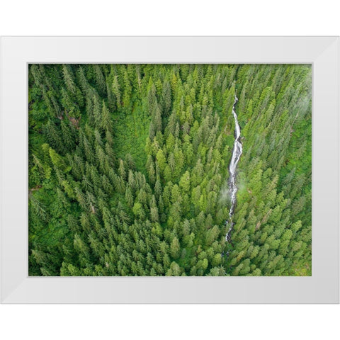 Alaska-Juneau-Taku Harbor State Marine Park-waterfall on mountainside in coastal rainforest White Modern Wood Framed Art Print by Souders, Paul