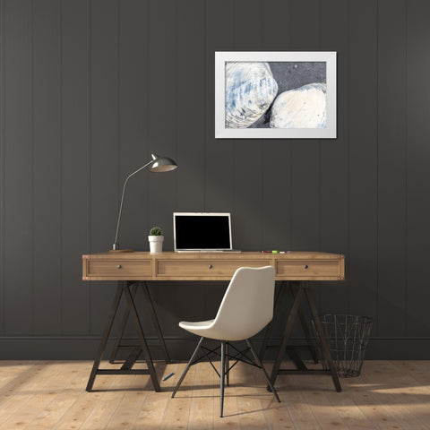 Alaska-Ketchikan-clam shells on beach White Modern Wood Framed Art Print by PLank, Savanah