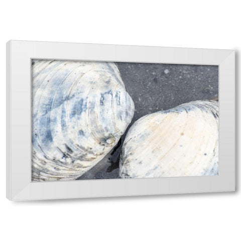Alaska-Ketchikan-clam shells on beach White Modern Wood Framed Art Print by PLank, Savanah