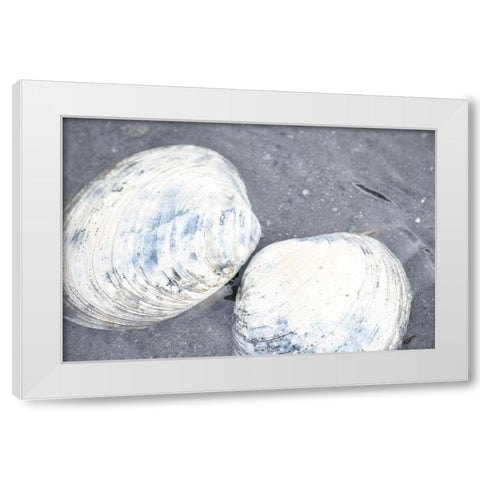 Alaska-Ketchikan-clam shells on beach White Modern Wood Framed Art Print by PLank, Savanah