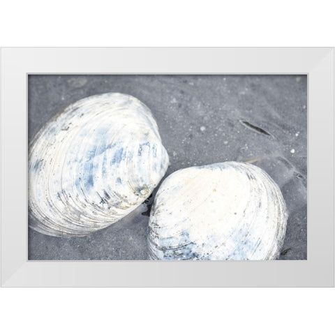 Alaska-Ketchikan-clam shells on beach White Modern Wood Framed Art Print by PLank, Savanah