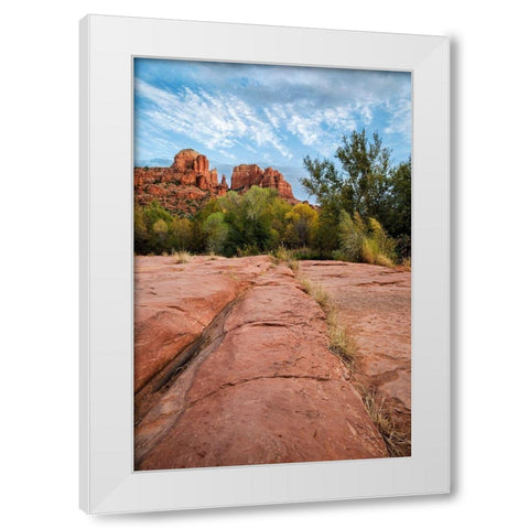 Arizona-Sedona-Red Rock State Park-Cathedral Rock White Modern Wood Framed Art Print by Collins, Ann