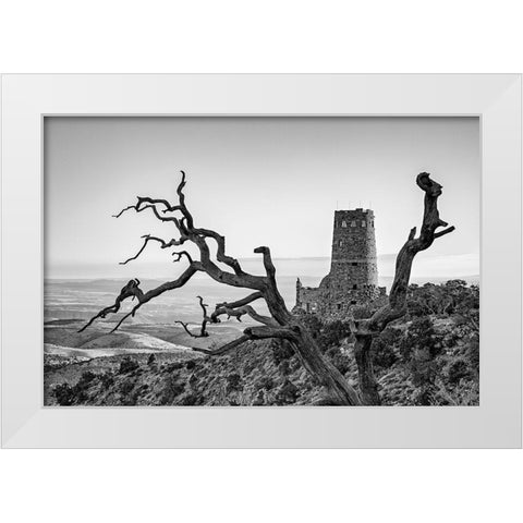 Arizona-Grand Canyon National Park-Sunrise at the Desert View Watchtower White Modern Wood Framed Art Print by Collins, Ann