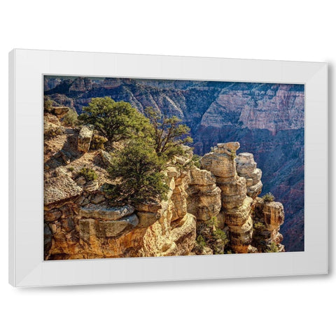 Arizona-Grand Canyon National Park-Rocks and trees at Grandview Point White Modern Wood Framed Art Print by Collins, Ann