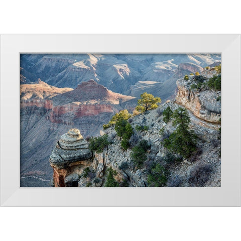 Arizona-Grand Canyon National Park-View from Yaki Point at sunrise White Modern Wood Framed Art Print by Collins, Ann