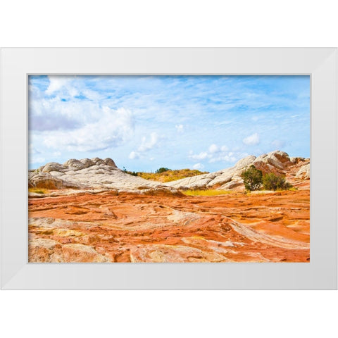 USA-Arizona-Vermilion Cliffs National Monument White Pocket White Modern Wood Framed Art Print by Friel, Bernard