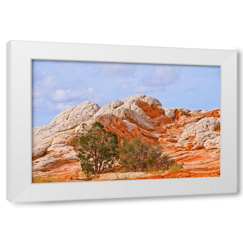 USA-Arizona-Vermilion Cliffs National Monument White Pocket White Modern Wood Framed Art Print by Friel, Bernard