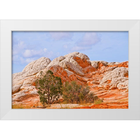 USA-Arizona-Vermilion Cliffs National Monument White Pocket White Modern Wood Framed Art Print by Friel, Bernard