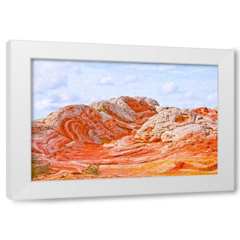 USA-Arizona-Vermilion Cliffs National Monument White Pocket White Modern Wood Framed Art Print by Friel, Bernard