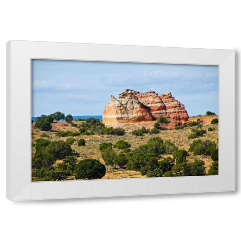 USA-Arizona-Vermilion Cliffs National Monument White Pocket White Modern Wood Framed Art Print by Friel, Bernard