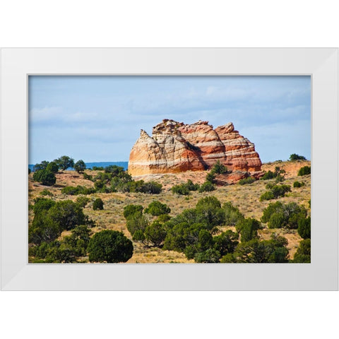 USA-Arizona-Vermilion Cliffs National Monument White Pocket White Modern Wood Framed Art Print by Friel, Bernard