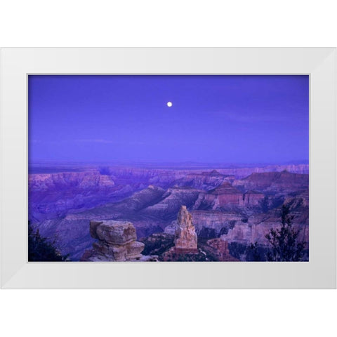 AZ, Grand Canyon, Moonrise over Point Imperial White Modern Wood Framed Art Print by Welling, Dave