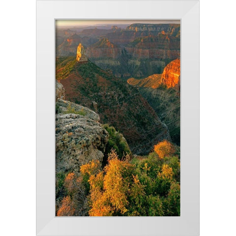 AZ, Grand Canyon, Sunrise at Point Imperial White Modern Wood Framed Art Print by Welling, Dave
