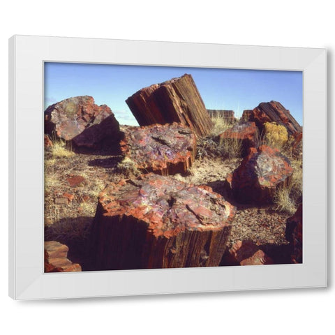 Arizona, Petrified Forest NP Petrified logs White Modern Wood Framed Art Print by Talbot Frank, Christopher