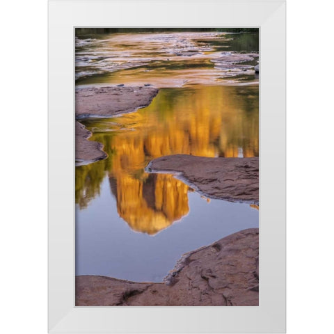 Arizona, Sedona Cathedral Rock reflects in creek White Modern Wood Framed Art Print by OBrien, Jay