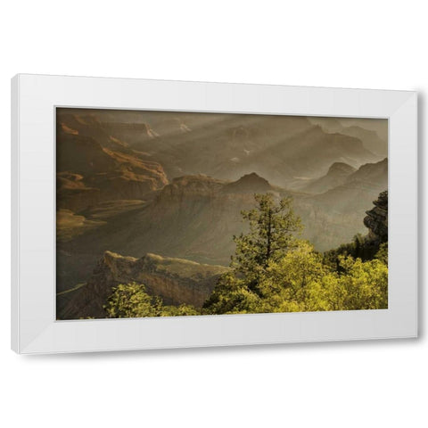 AZ, Grand Canyon, God rays over rock formations White Modern Wood Framed Art Print by OBrien, Jay
