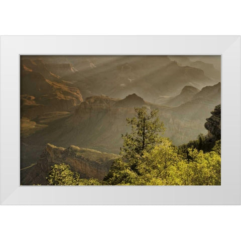 AZ, Grand Canyon, God rays over rock formations White Modern Wood Framed Art Print by OBrien, Jay