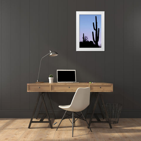 AZ, Tucson Saguaro cactus with crescent moon White Modern Wood Framed Art Print by Paulson, Don