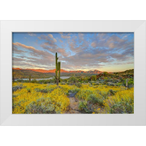 AZ, Lake Bartlett Sunset on desert landscape White Modern Wood Framed Art Print by Lord, Fred