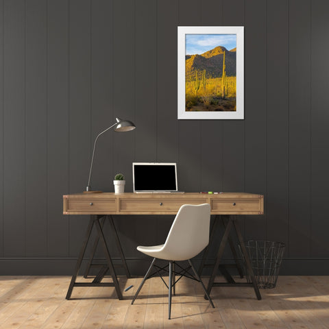 USA, Arizona, Tucson Desert sunset in Saguaro NP White Modern Wood Framed Art Print by Lord, Fred