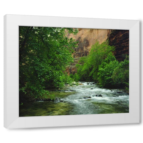 AZ, Havasupai Havasu Creek in the Grand Canyon White Modern Wood Framed Art Print by Talbot Frank, Christopher