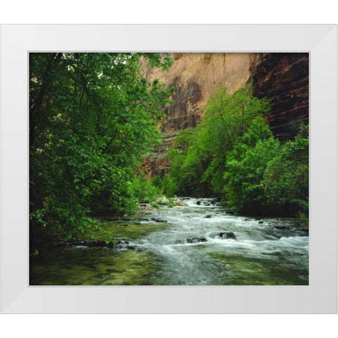 AZ, Havasupai Havasu Creek in the Grand Canyon White Modern Wood Framed Art Print by Talbot Frank, Christopher