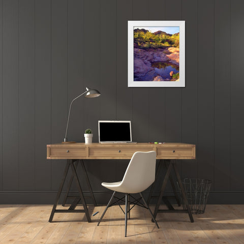 AZ Spring with Organ Pipe cacti along a stream White Modern Wood Framed Art Print by Talbot Frank, Christopher