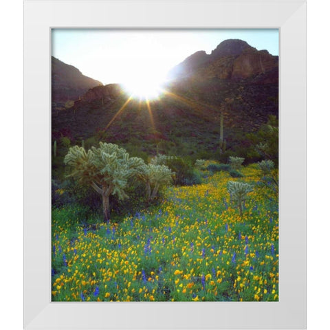 AZ, Organ Pipe Cactus NM Flowers and cacti White Modern Wood Framed Art Print by Talbot Frank, Christopher