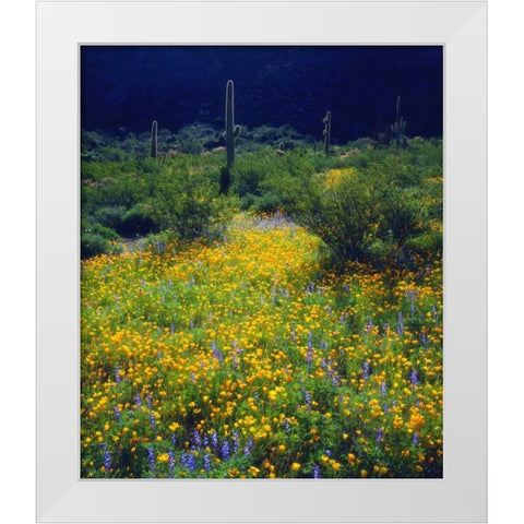 AZ, Organ Pipe Cactus NM flowers and Saguaro White Modern Wood Framed Art Print by Talbot Frank, Christopher