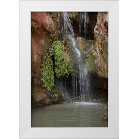 Arizona, Grand Canyon Waterfall at Elves Chasm White Modern Wood Framed Art Print by Grall, Don