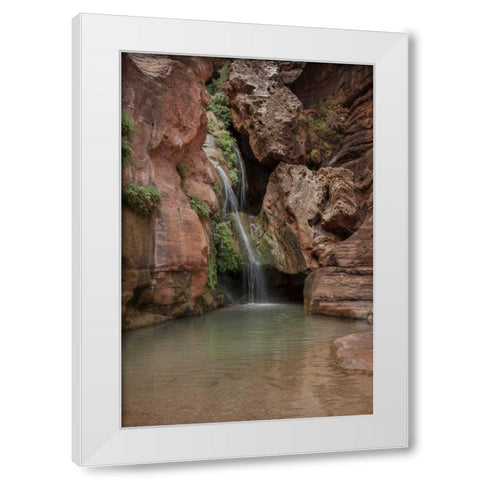 Arizona, Grand Canyon Waterfall at Elves Chasm White Modern Wood Framed Art Print by Grall, Don
