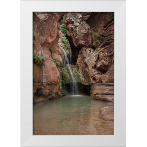 Arizona, Grand Canyon Waterfall at Elves Chasm White Modern Wood Framed Art Print by Grall, Don