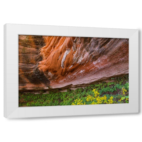 Arizona Hanging Garden in Canyon X White Modern Wood Framed Art Print by Paulson, Don
