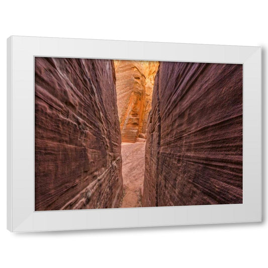 Perspective Image