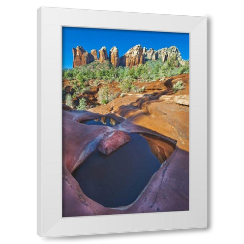 USA, Arizona, Sedona Water pools in rock White Modern Wood Framed Art Print by Rotenberg, Nancy
