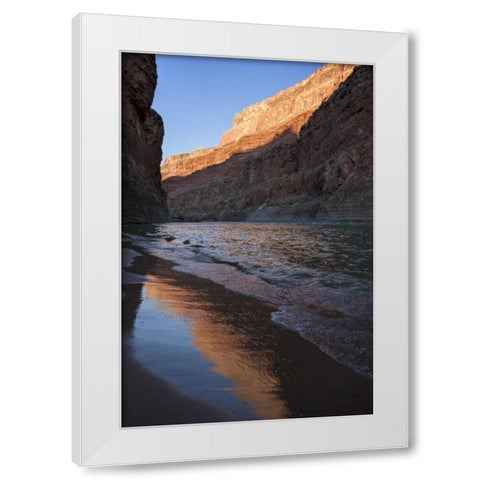 Arizona, Grand Canyon Desert sunrise White Modern Wood Framed Art Print by Grall, Don
