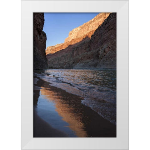 Arizona, Grand Canyon Desert sunrise White Modern Wood Framed Art Print by Grall, Don