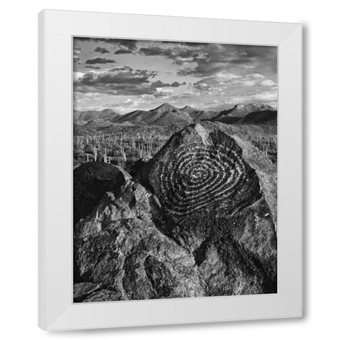 Arizona, Saguaro NP Petroglyphs on Signal Hill White Modern Wood Framed Art Print by Flaherty, Dennis