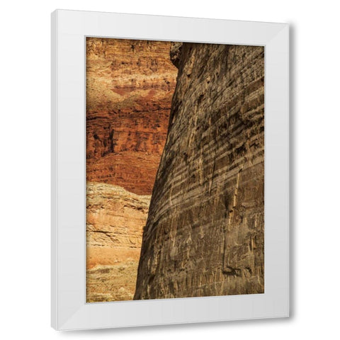 AZ, Grand Canyon, Sandstone wall in Marble Canyon White Modern Wood Framed Art Print by Grall, Don