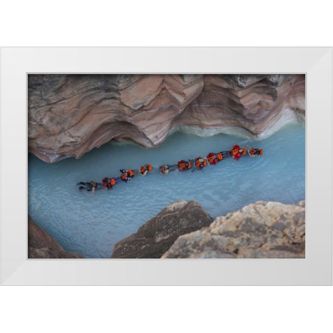 AZ, Grand Canyon, Students float on Havasu Creek White Modern Wood Framed Art Print by Grall, Don