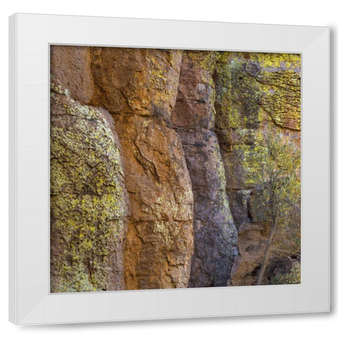 Arizona, Chiricahua National Monument Cliff face White Modern Wood Framed Art Print by Paulson, Don