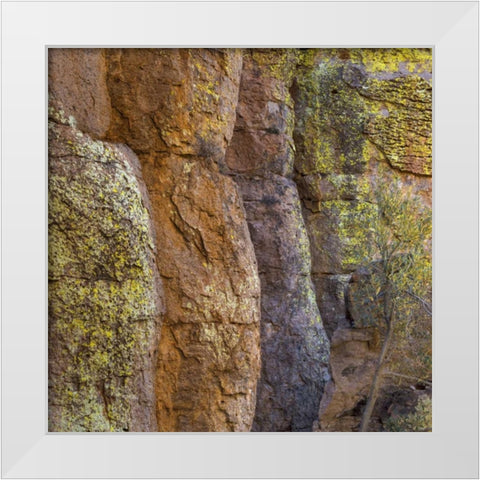 Arizona, Chiricahua National Monument Cliff face White Modern Wood Framed Art Print by Paulson, Don
