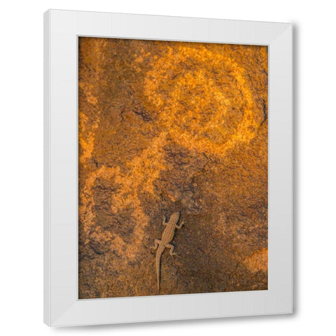 AZ, Painted Rock Petroglyph Site and lizard White Modern Wood Framed Art Print by Illg, Cathy and Gordon