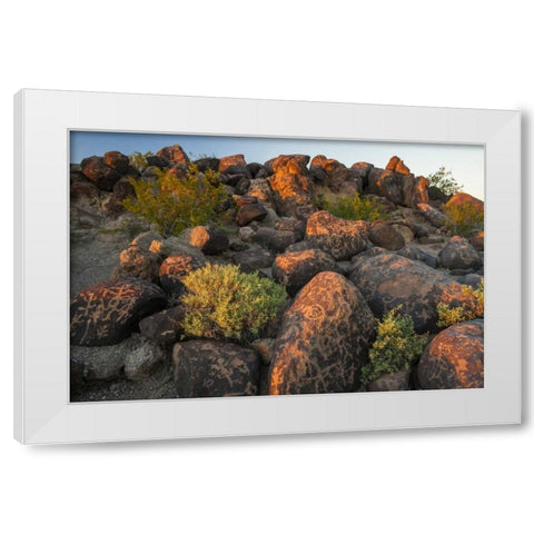 Arizona, Painted Rocks Rocks with petroglyphs White Modern Wood Framed Art Print by Illg, Cathy and Gordon