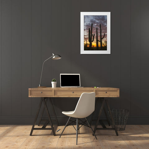 Arizona, Saguaro NP Sunset on desert landscape White Modern Wood Framed Art Print by Illg, Cathy and Gordon