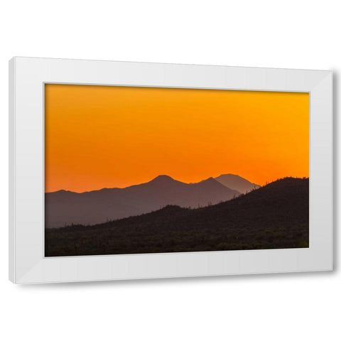 Arizona, Saguaro NP Tucson Mountains at sunset White Modern Wood Framed Art Print by Illg, Cathy and Gordon